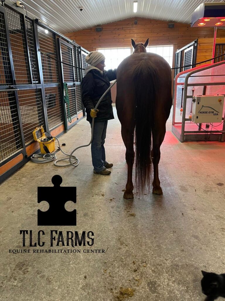 TLC Farms Equine Rehab